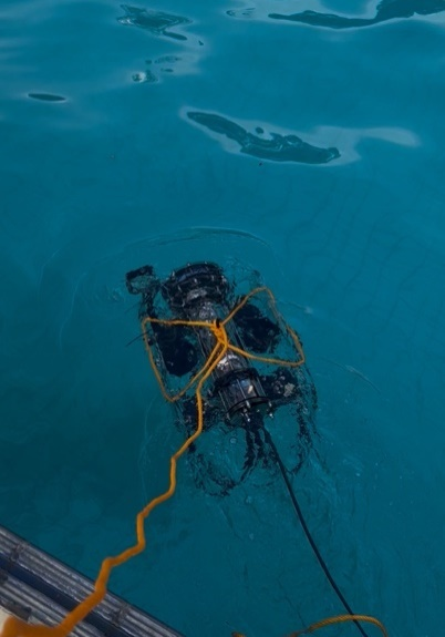 DEEP-UNDER ROV undergoing a pool test