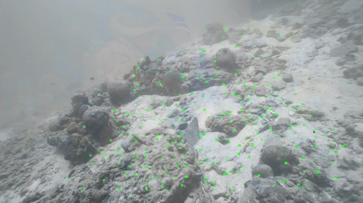Extracted underwater visual features